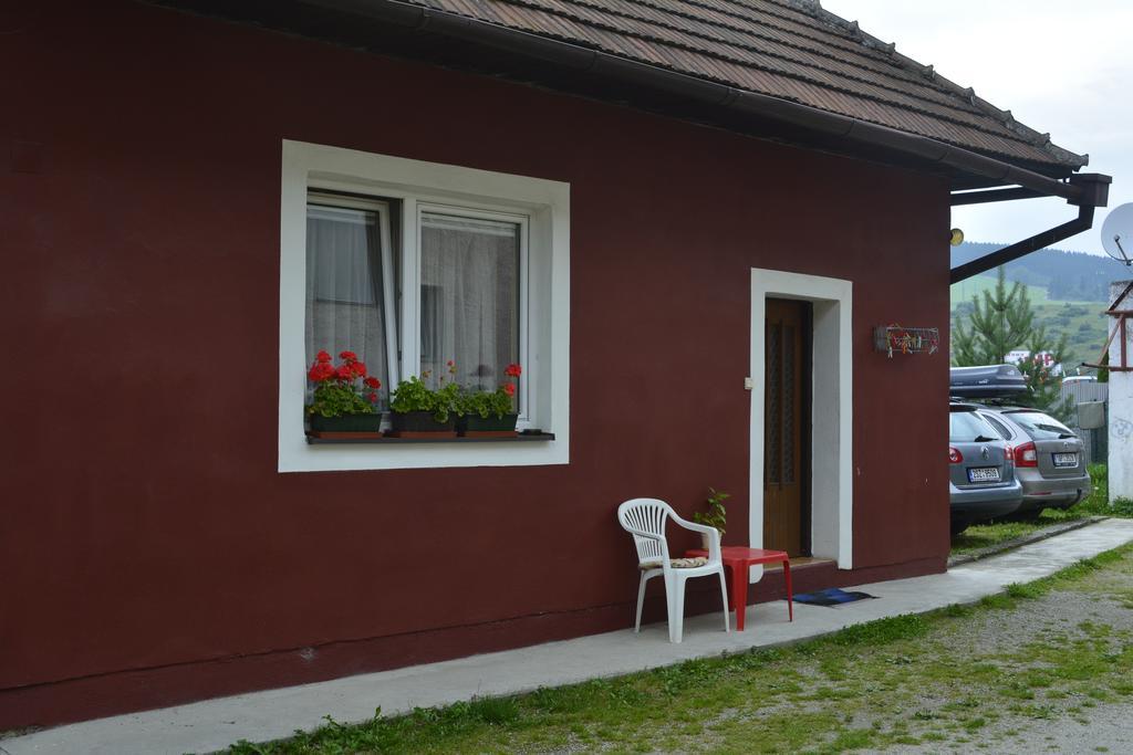 Begonia-Dom S Jednou Spalnou Bešeňová Oda fotoğraf